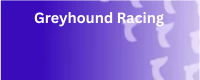 Ambaniexch99 Greyhound Racing